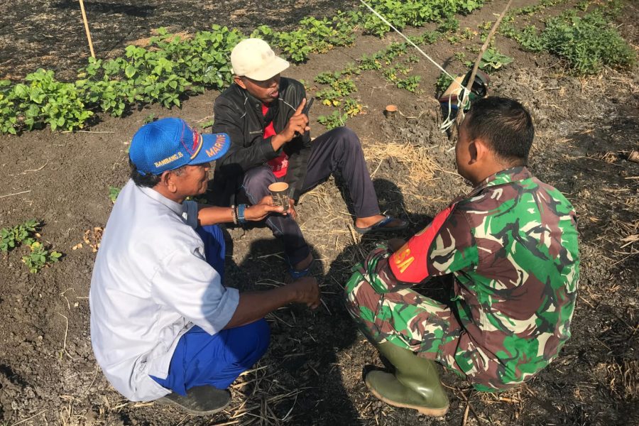 Babinsa 0830/06 Benowo Berikan Komunikasi Sosial Dengan Kelompok Tani 