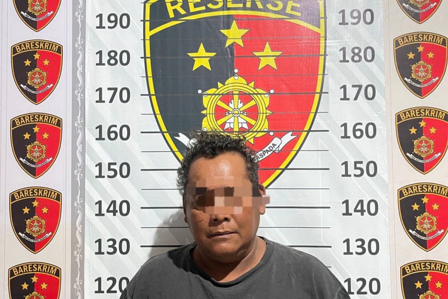 Polsek Cerme Berhasil Ringkus Pencuri Sepeda Motor di Desa Gedangkulut