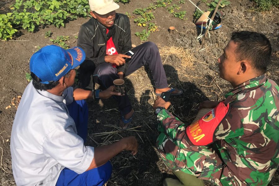 Babinsa Koordinasi Terkait Rencana Penanaman Berkelanjutan Setelah Panen Jagung