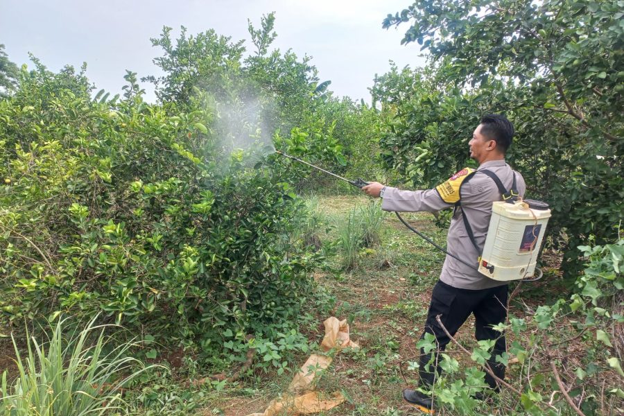 Bhabinkamtibmas Kebon Agung Jadi Garda Depan Ketahanan Pangan, Ajak Warga Manfaatkan Lahan Kosong
