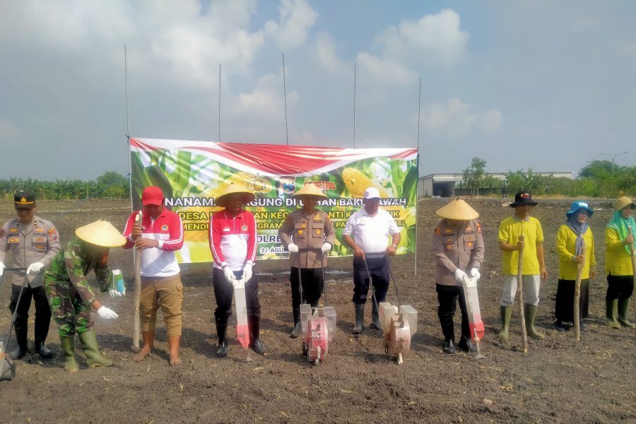 Dukung Ketahanan Pangan Nasional, Polres Gresik Tanam Jagung Didesa Kepatihan