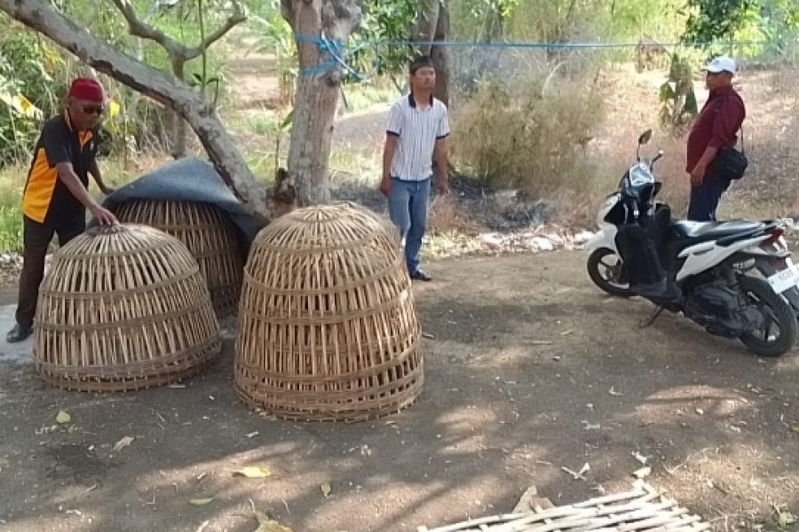 Arena Sabung Ayam di Bongso (Menganti) Digerebek Polisi Menganti Amankan Barang Bukti & Polisi Memburu Pelaku
